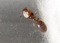 IMG_1134.jpg (51.66 KiB) 88347-mal betrachtet IMG_1134.jpg