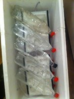 FlaschenaufNestern.JPG (2.41 MiB) 113774-mal betrachtet FlaschenaufNestern.JPG