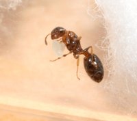 IMG_1194.jpg (68.84 KiB) 88244-mal betrachtet IMG_1194.jpg