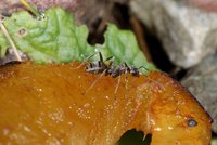 DSC04565.JPG (913.19 KiB) 25109-mal betrachtet DSC04565.JPG