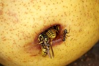 DSC04698.JPG (1004.43 KiB) 25106-mal betrachtet DSC04698.JPG