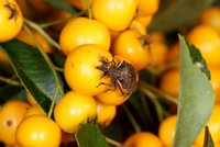 DSC04668.JPG (918.57 KiB) 24987-mal betrachtet DSC04668.JPG