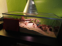 PB170496.JPG (870.86 KiB) 31482-mal betrachtet PB170496.JPG