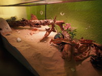 PB170495.JPG (928.84 KiB) 31492-mal betrachtet PB170495.JPG