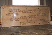 IMG_3257 2.jpg
