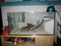 IMG_3682.JPG (1.16 MiB) 180044-mal betrachtet IMG_3682.JPG