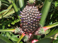 Rätsel2-330.jpg (161.17 KiB) 138985-mal betrachtet Rätsel2-330.jpg