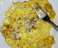 Oecophylla_Thailand_3_Chris.jpg (130.04 KiB) 23430-mal betrachtet Oecophylla_Thailand_3_Chris.jpg