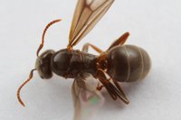 IMG_4282.JPG (763.41 KiB) 87564-mal betrachtet IMG_4282.JPG