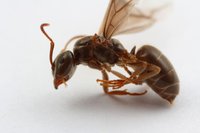 IMG_4283.JPG (772.11 KiB) 87575-mal betrachtet IMG_4283.JPG