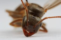 IMG_4297.JPG (805.07 KiB) 87564-mal betrachtet IMG_4297.JPG