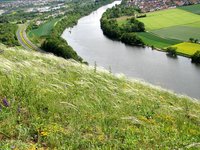 7-Stipa_5122.jpg (285.47 KiB) 95496-mal betrachtet 7-Stipa_5122.jpg