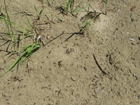 Schlachtfeld Übersicht.JPG (2.86 MiB) 143319-mal betrachtet Schlachtfeld Übersicht.JPG