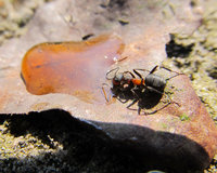 IMG_6039.2.jpg