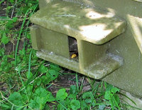 Hornissenkönigin kehrt zurück.JPG (712.08 KiB) 162942-mal betrachtet Hornissenkönigin kehrt zurück.JPG