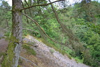 DSC_0608.JPG (953 KiB) 36856-mal betrachtet DSC_0608.JPG