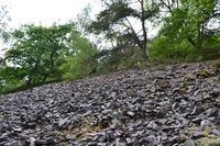 DSC_0600.JPG (993.05 KiB) 36855-mal betrachtet DSC_0600.JPG