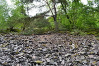 DSC_0602.JPG (997.4 KiB) 36848-mal betrachtet DSC_0602.JPG