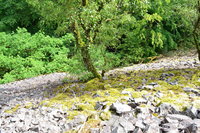 DSC_0605.JPG (984.58 KiB) 36853-mal betrachtet DSC_0605.JPG