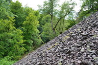 DSC_0599.JPG (845.9 KiB) 36849-mal betrachtet DSC_0599.JPG