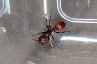 DSC00208.JPG (415.8 KiB) 79582-mal betrachtet DSC00208.JPG