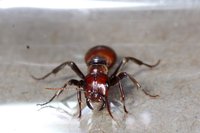 DSC00210.JPG (548.69 KiB) 79348-mal betrachtet DSC00210.JPG