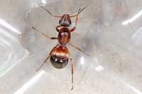 DSC00191.JPG (341.55 KiB) 80073-mal betrachtet DSC00191.JPG