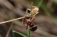 IMG_6797a.jpg (286.17 KiB) 119360-mal betrachtet IMG_6797a.jpg