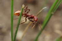 IMG_6830a.jpg (285.47 KiB) 119382-mal betrachtet IMG_6830a.jpg