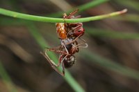 IMG_6842.JPG (316.83 KiB) 119696-mal betrachtet IMG_6842.JPG