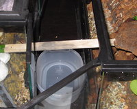 Brücke für den Umzug.JPG (619.23 KiB) 103877-mal betrachtet Brücke für den Umzug.JPG