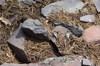DSC_0149.JPG