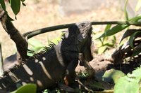 IMG_9248.JPG