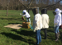 Volk wird abgewischt.JPG (952.75 KiB) 69015-mal betrachtet Volk wird abgewischt.JPG