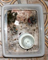 IMG_2660.jpg (468.94 KiB) 185054-mal betrachtet IMG_2660.jpg