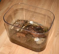 IMG_2647.jpg (636.72 KiB) 184586-mal betrachtet IMG_2647.jpg