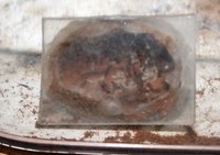 IMG_2656.jpg (441.69 KiB) 185440-mal betrachtet IMG_2656.jpg