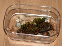 IMG_2657.jpg (727.08 KiB) 185054-mal betrachtet IMG_2657.jpg