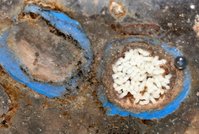 IMG_2658.jpg (645.33 KiB) 185456-mal betrachtet IMG_2658.jpg