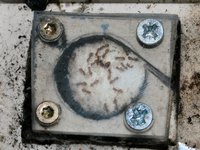 IMG_2659.jpg (308.74 KiB) 185439-mal betrachtet IMG_2659.jpg