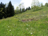PICT0392.JPG