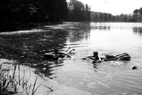 Baden-1-884.jpg (287.25 KiB) 86790-mal betrachtet Baden-1-884.jpg