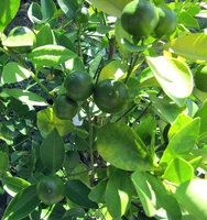 4-IMG_31.jpg