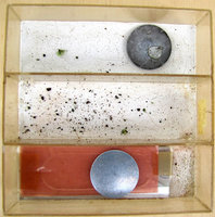 2-Formikar-784.jpg (375.47 KiB) 95253-mal betrachtet 2-Formikar-784.jpg