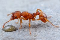 IMG_0616a.jpg (335.8 KiB) 13773-mal betrachtet IMG_0616a.jpg