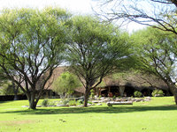 11-Okapuka822.jpg (872.18 KiB) 86161-mal betrachtet 11-Okapuka822.jpg