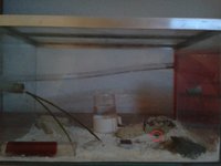 20140505_210617.jpg (184.54 KiB) 65470-mal betrachtet 20140505_210617.jpg