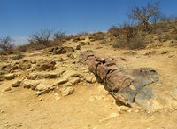 4-Petr.forest-072.jpg (588.06 KiB) 74468-mal betrachtet 4-Petr.forest-072.jpg