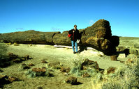 8-Arizona-232.jpg (548.58 KiB) 74468-mal betrachtet 8-Arizona-232.jpg