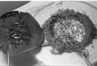 2-img391.jpg (609.98 KiB) 77892-mal betrachtet 2-img391.jpg